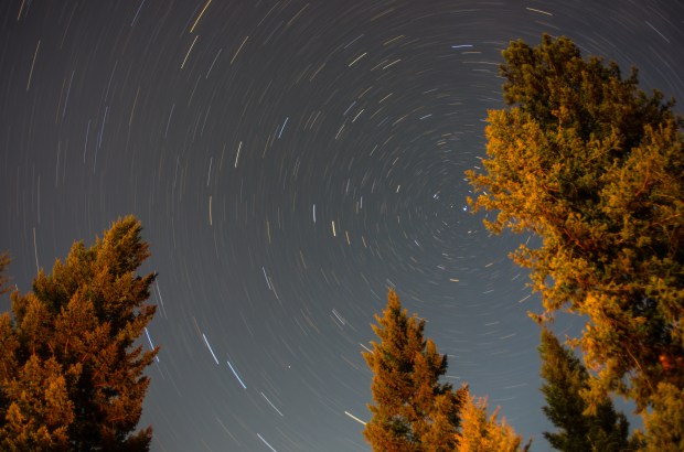 Montana Stars, North Star