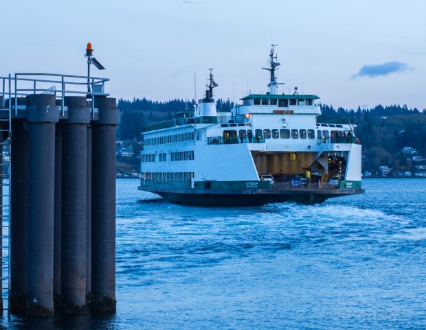 IMGP7453