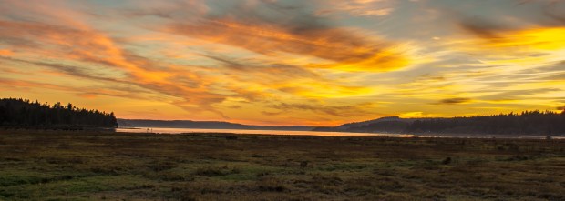 Theler Wetlands, Belfair, WA.