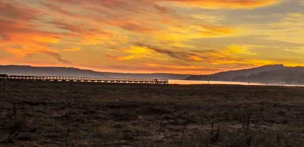 Small boardwalk over the marsh.