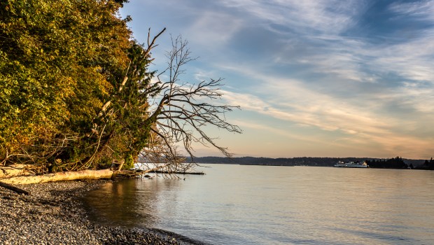 Washington State Ferry from Fort Warden State Park, Sunset. 