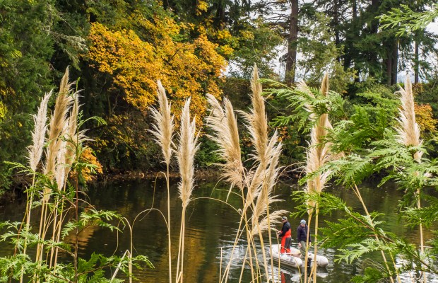 Fishing Hole, Pufet Sound