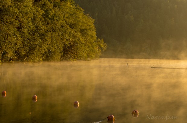 The swimming area, the sun just came up for a serene image. 