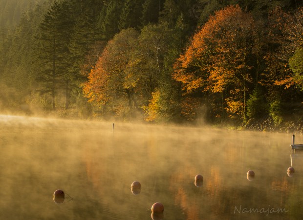 Great colors with the morning sun. 