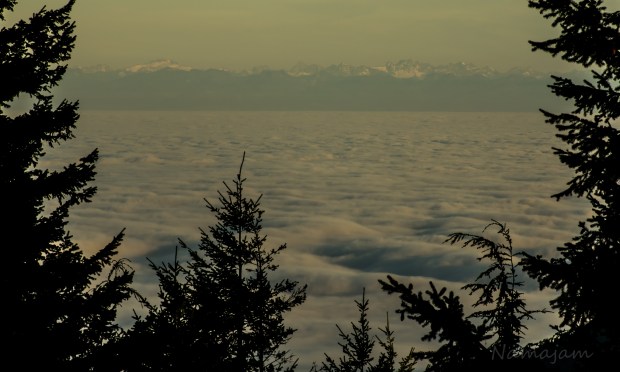 Captured right before sunset 