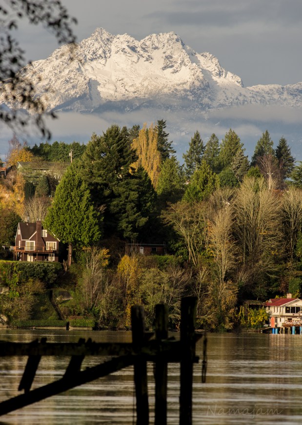 A view from under the bridge.