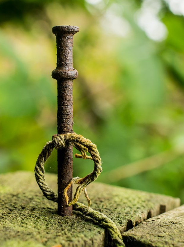 An old nail and string to hold a gate open.