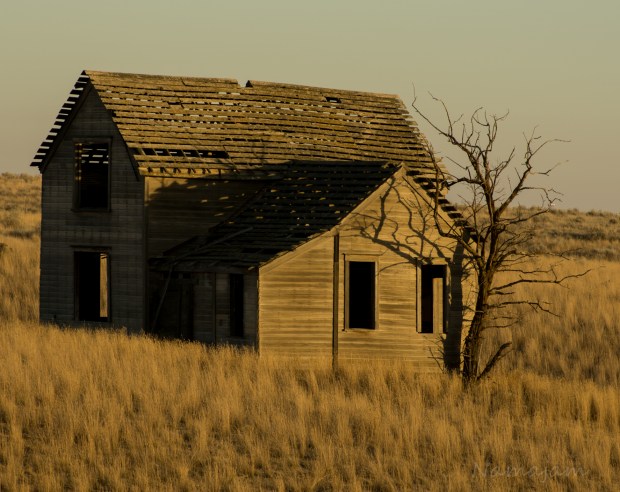Captured this old abandoned farm house at sunset. 
