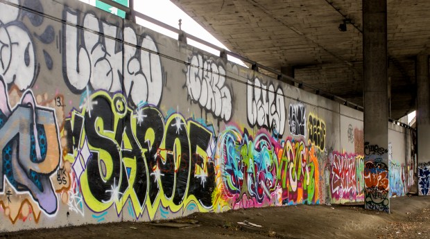 Found this behind some bushes. 