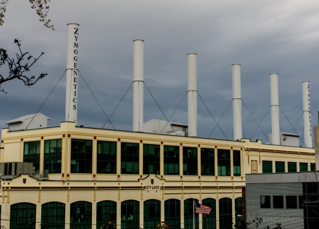 This reminds me of Pink Floyd's album "Animals'