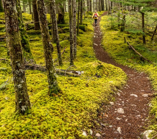 Therapy Trail...serene and peaceful.  