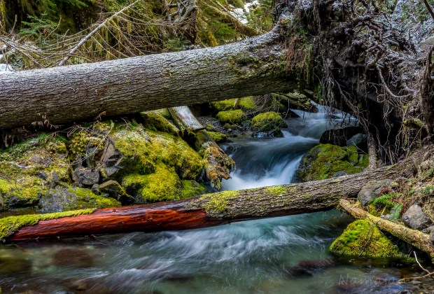 Nice colors with a dusting of snow.
