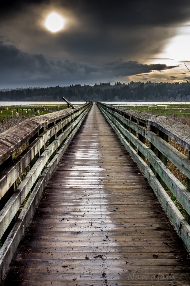 Rainstorm on the way