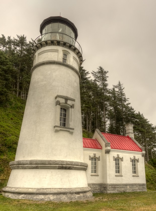 20140712-IMGP8478hdr