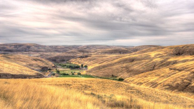 Southeastern, WA near the Snake River