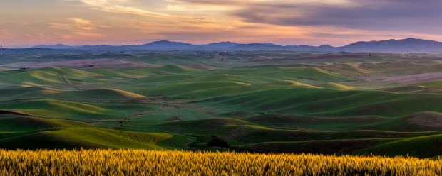 Captured at sunrise late June. 