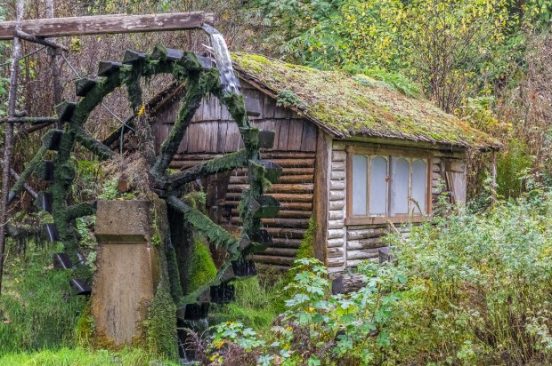 Dalby Waterwheel, One of the first Hydroelectric wheels on the Puget Sound. 