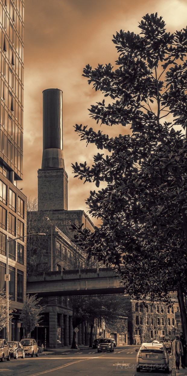 20141124-IMGP9058-Edit