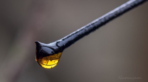 Focused in the droplet. 