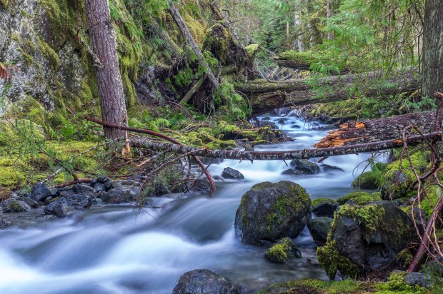 Tunnel Creek, Olympic Mountains, WA