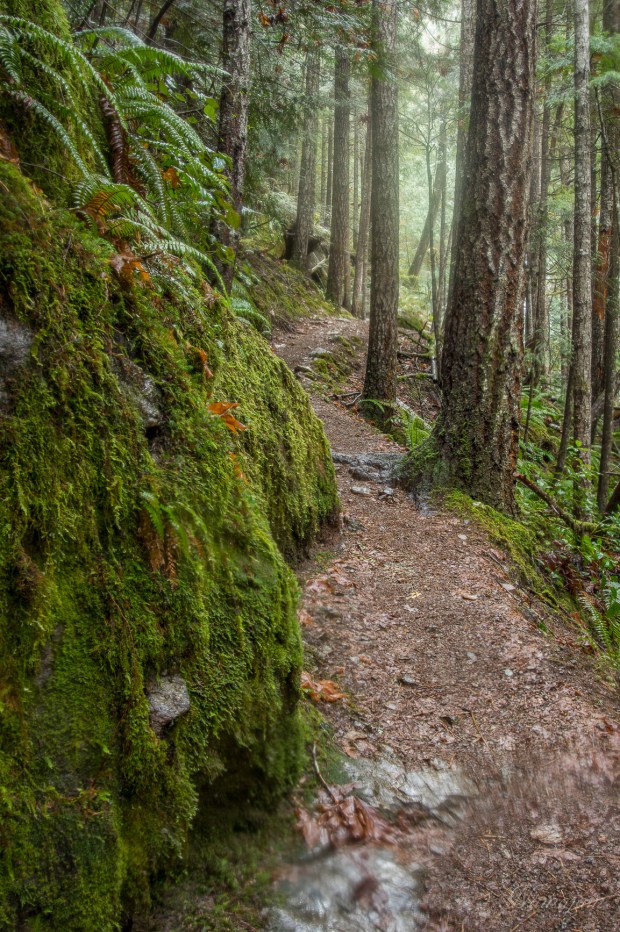 Trail to falls got narrower  closer to falls. 