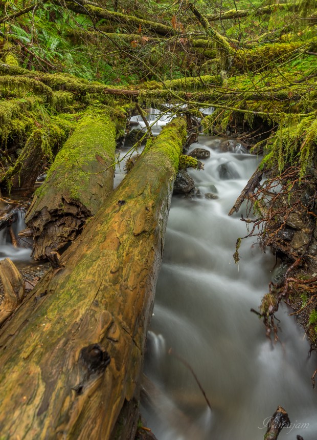 Beautiful scenery on the way. 